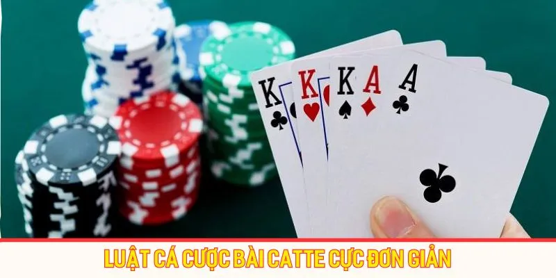 Luật cá cược bài catte cực đơn giản