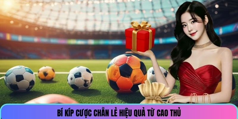 Bí kíp cược chẵn lẻ hiệu quả từ cao thủ
