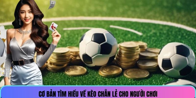 Cơ bản tìm hiểu về kèo chẵn lẻ cho người chơi