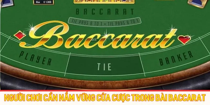 Người chơi cần nắm vững tất cả cửa cược trong bài Baccarat